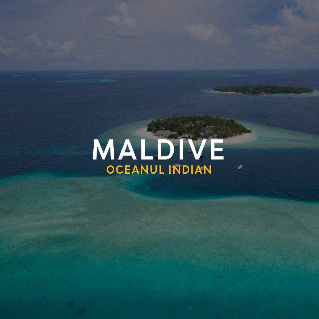 MALDIVE SITE