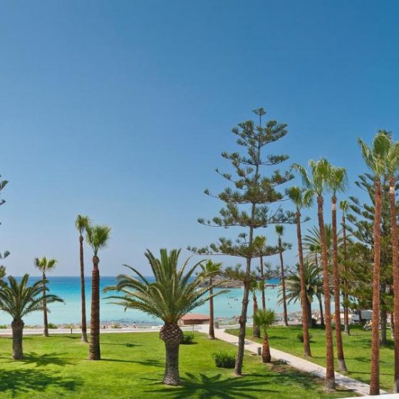 Nissi Beach Resort 1