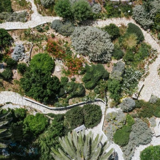 Nissi Beach Resort 35