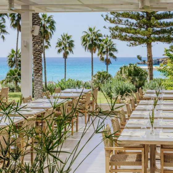 Nissi Beach Resort 55