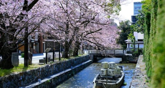 OMO5 Kyoto Sanjo by Hoshino Resorts 11