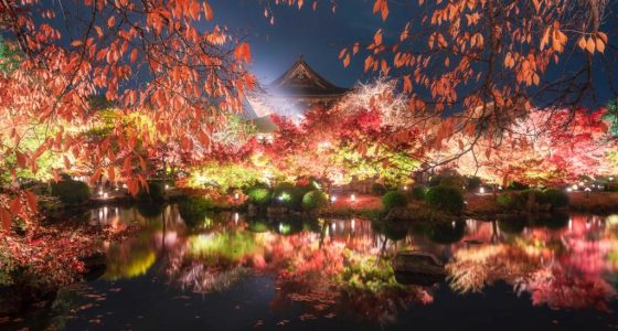 OMO5 Kyoto Sanjo by Hoshino Resorts 14