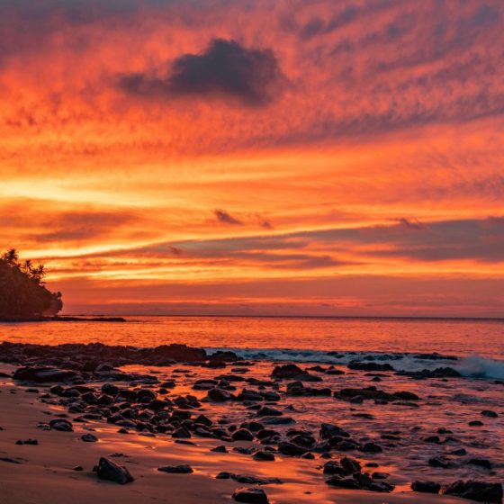 Omali São Tomé – Príncipe Collection 2