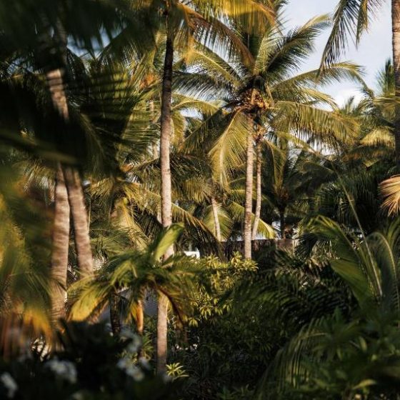 One&Only Le Saint Géran, Mauritius 37