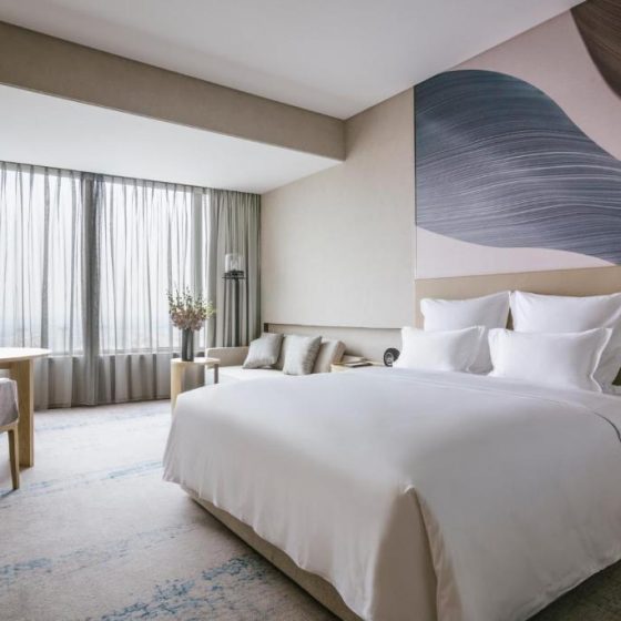 Pullman Shanghai Qingpu Excellence 25