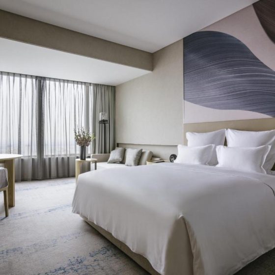 Pullman Shanghai Qingpu Excellence 39