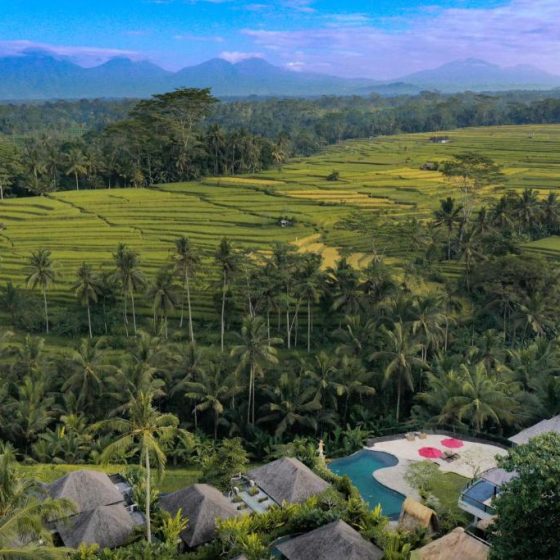 Puri Sebali Resort 44