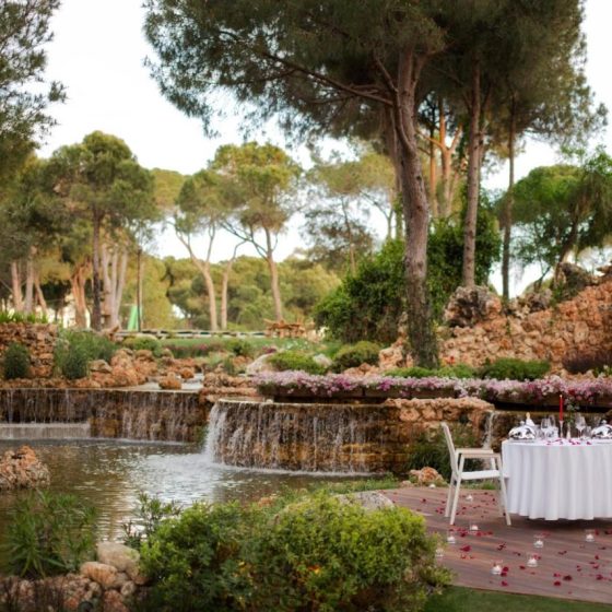 Regnum Carya 26