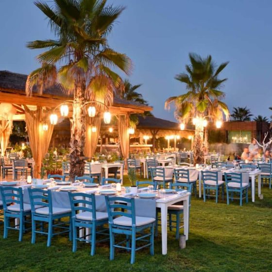 Regnum Carya 29