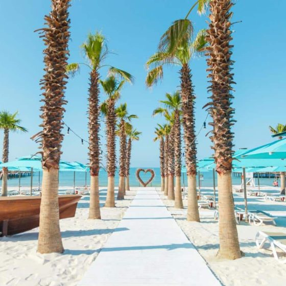 Regnum Carya 37