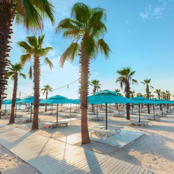 Regnum Carya 38