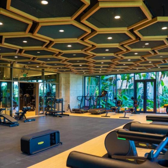 Regnum Carya 43