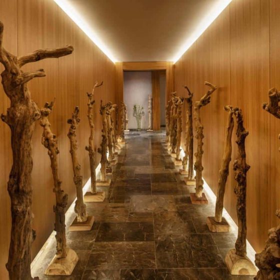 Regnum Carya 7