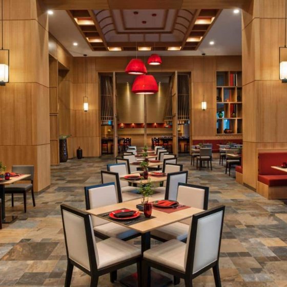 Regnum Carya 9
