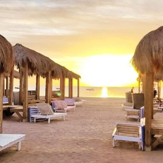 Royal Regency Club 27