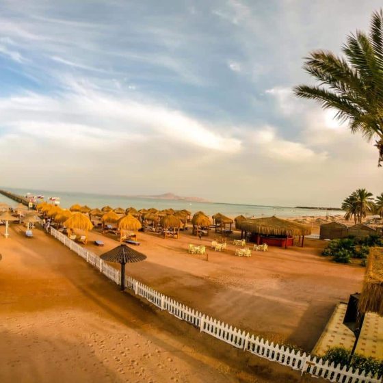 Royal Regency Club 31