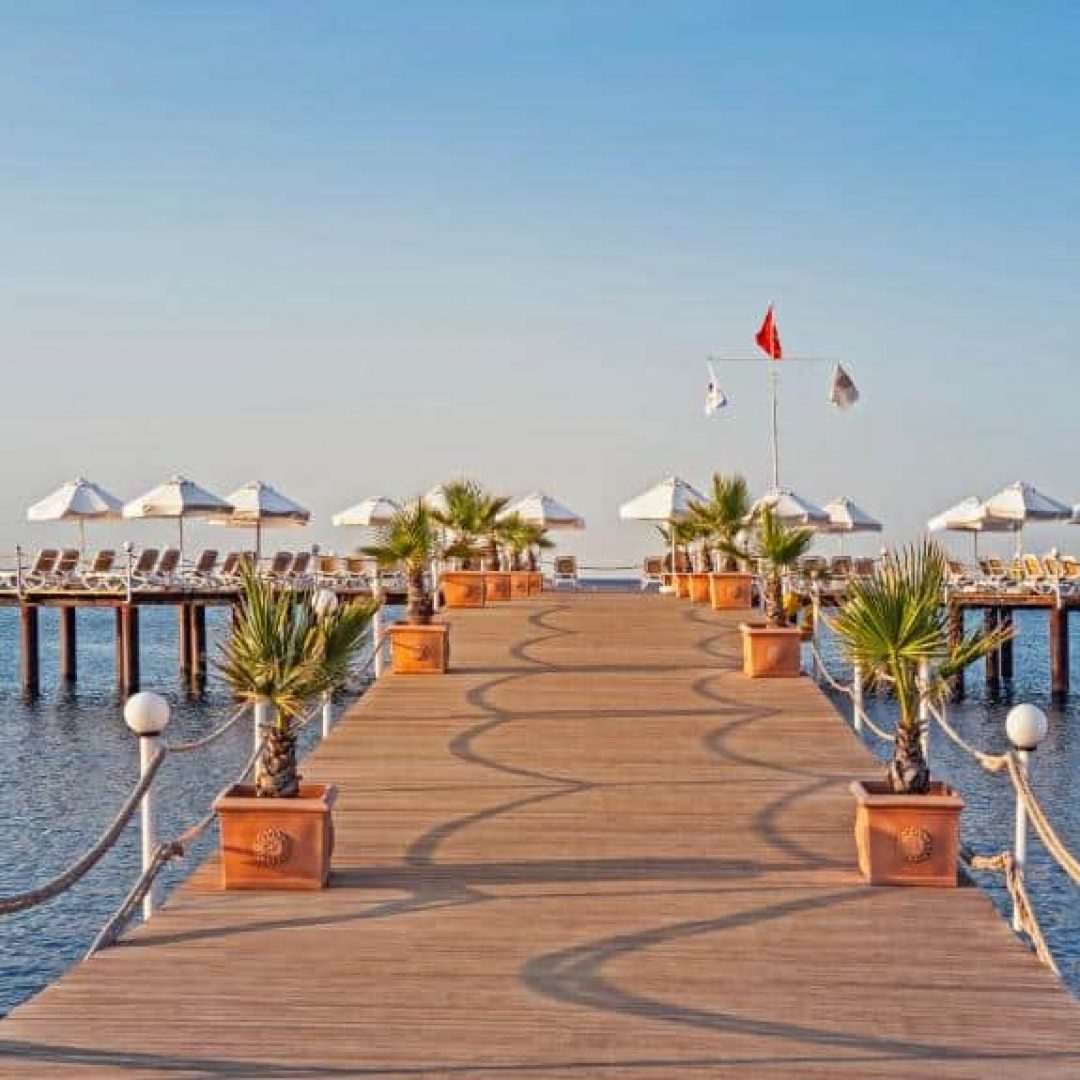 Royal Wings Hotel 38