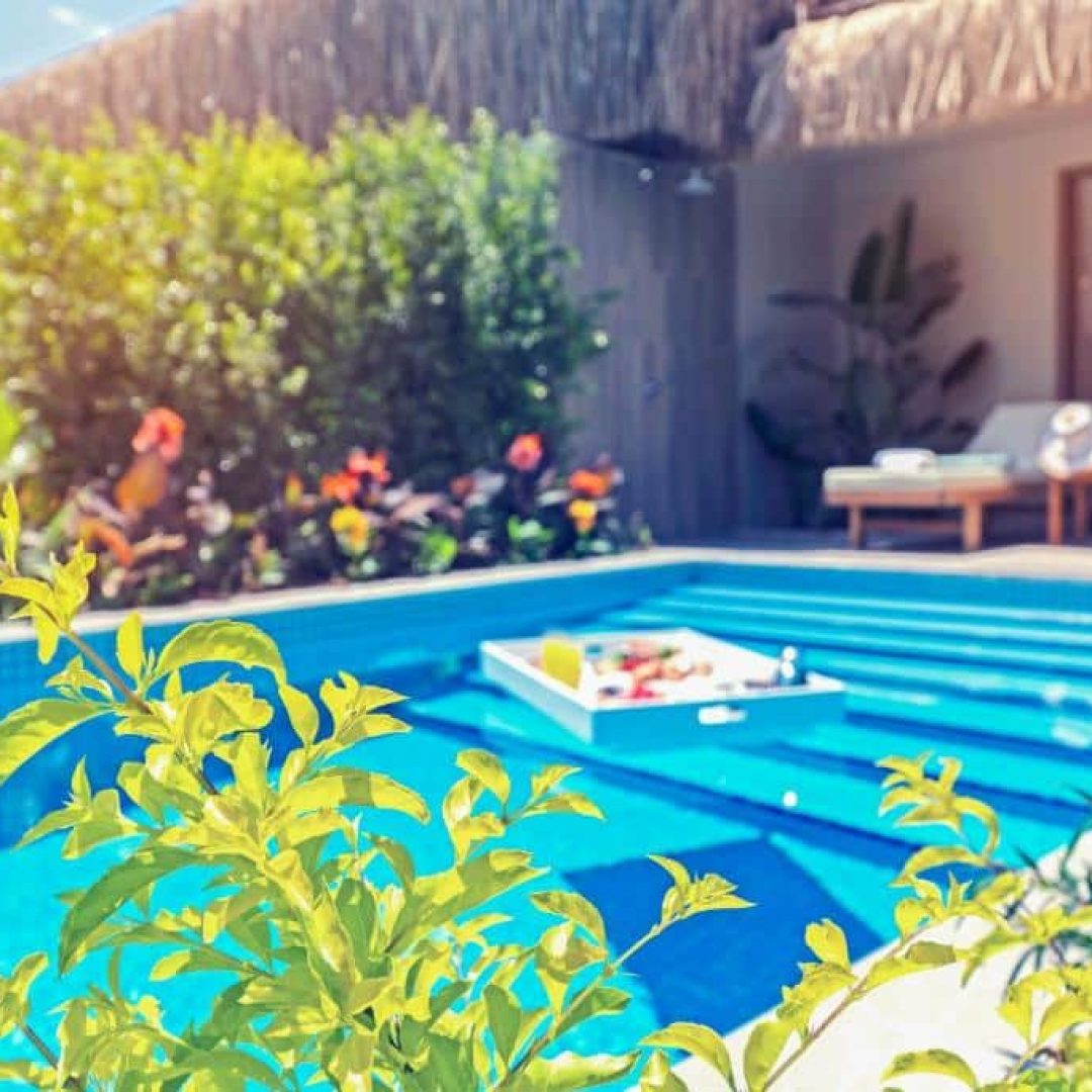 Royal Wings Hotel 55