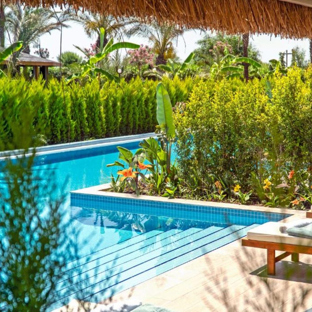 Royal Wings Hotel 60