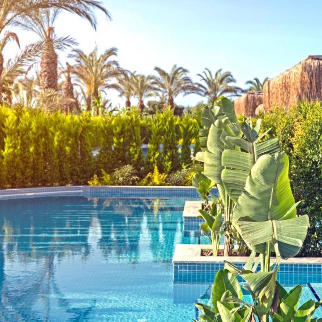 Royal Wings Hotel 65