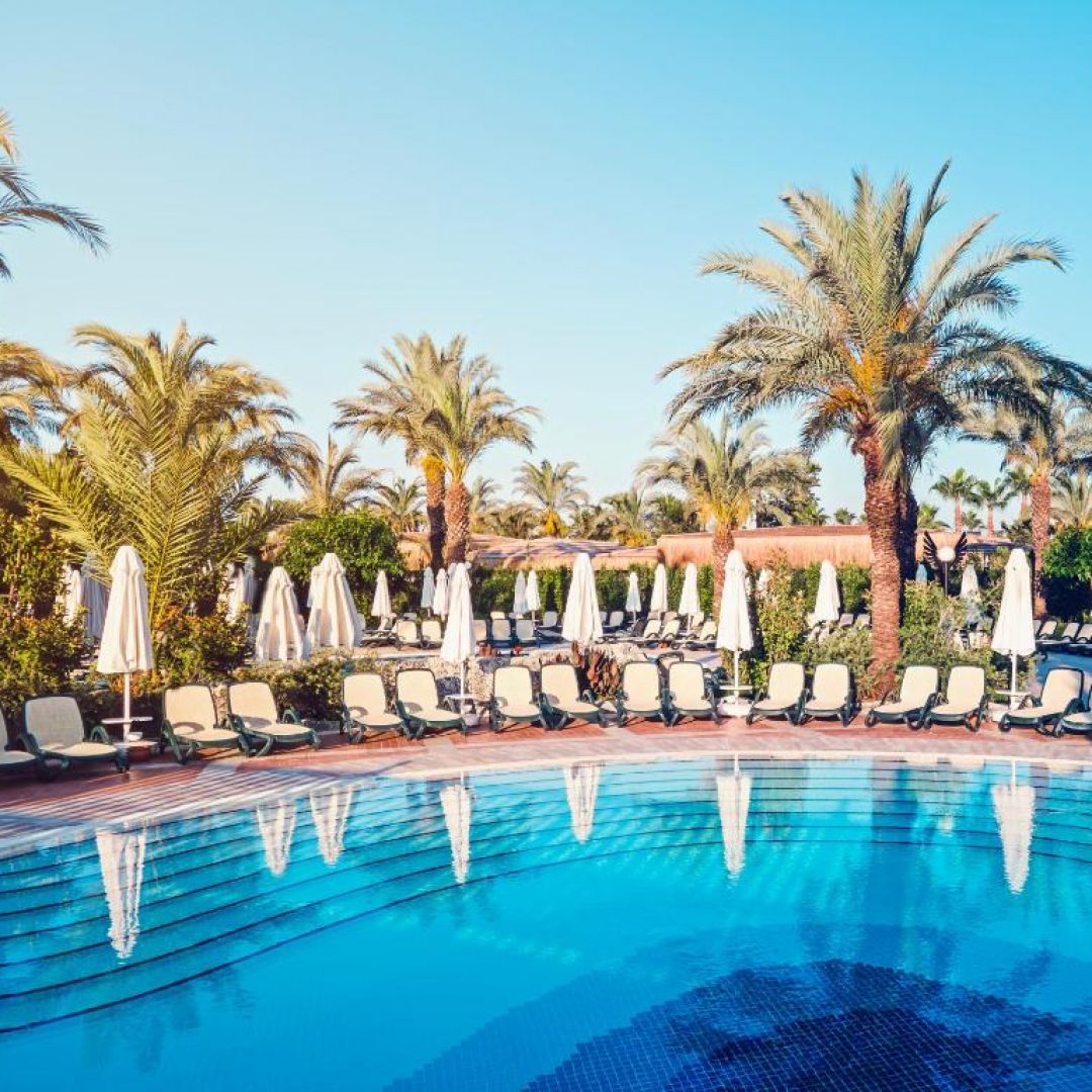 Royal Wings Hotel 74