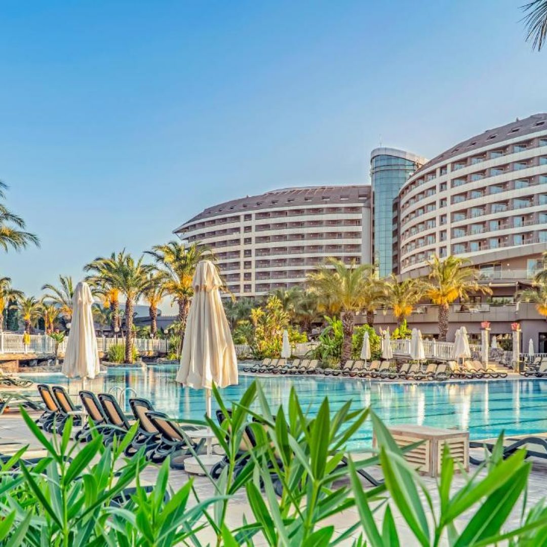 Royal Wings Hotel 78