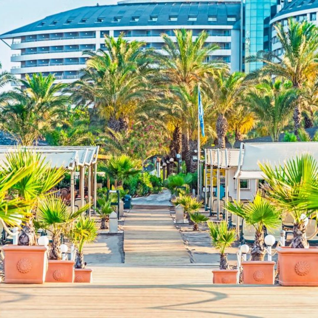 Royal Wings Hotel 94