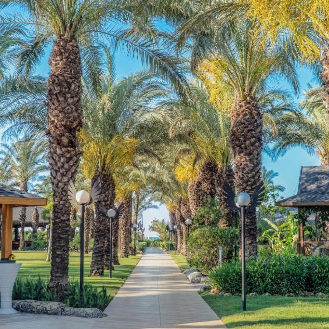 Royal Wings Hotel 96