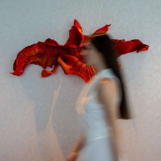 SO: Ras Al Khaimah 4