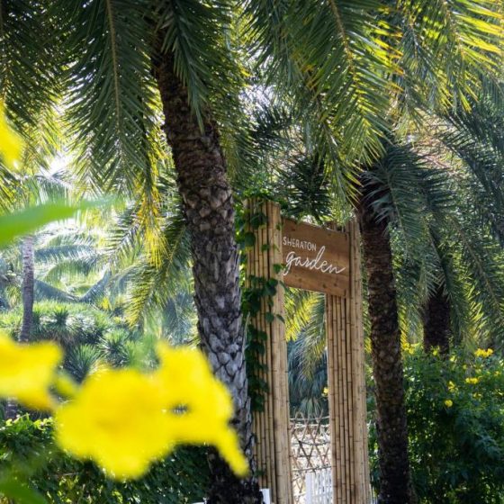 Sheraton Phu Quoc Long Beach Resort 60