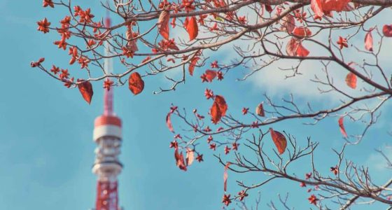 Shiba Park Hotel 35