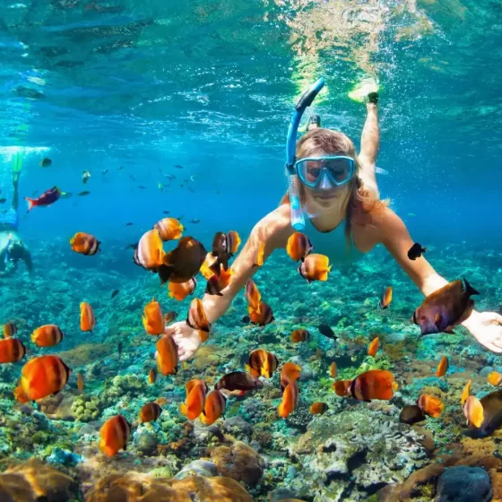 Punta Cana Snorkeling Tours
