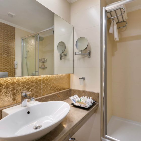 Standard Land View Bathroom