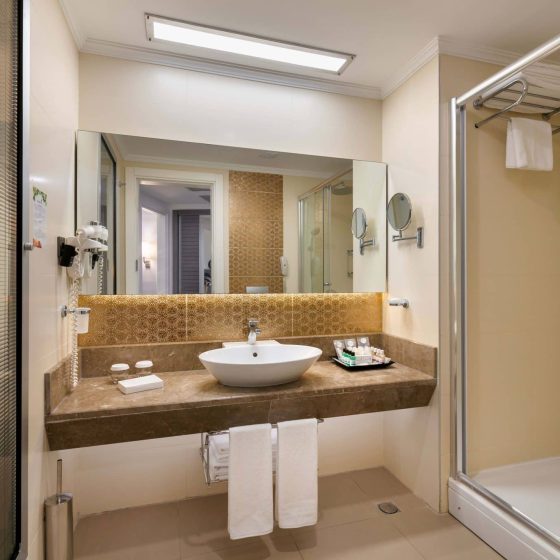 Standard Land View Bathroom1