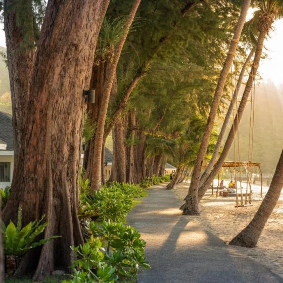 Thavorn Beach Village Resort & Spa Phuket 30