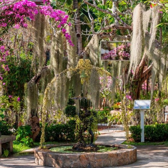 Thavorn Beach Village Resort & Spa Phuket 53