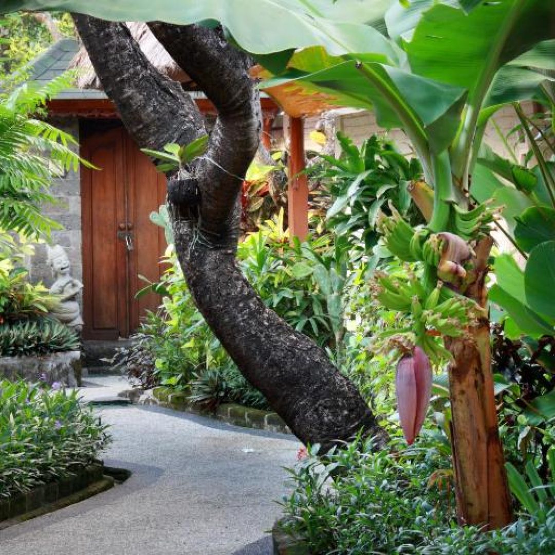 The Sankara Suites and Villas 11