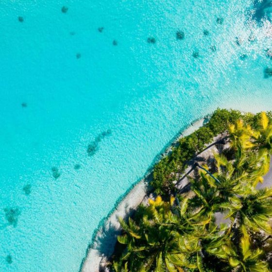 The St. Regis Bora Bora Resort 10