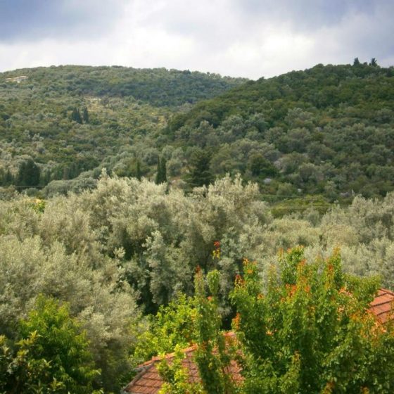 Thomais Boutique Hotel 16