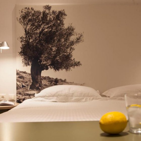 Thomais Boutique Hotel 86