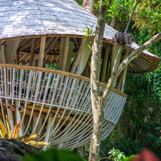 Ulaman Eco Luxury Resort 2