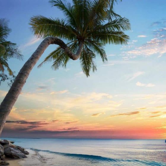 Wyndham Grand Phu Quoc 1