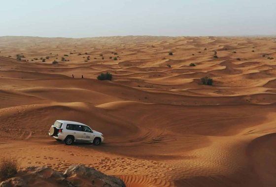 Dubai Safari